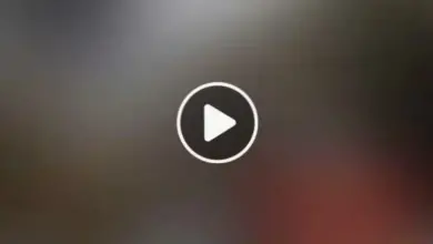 Video Adik Kakak Viral Tiktok